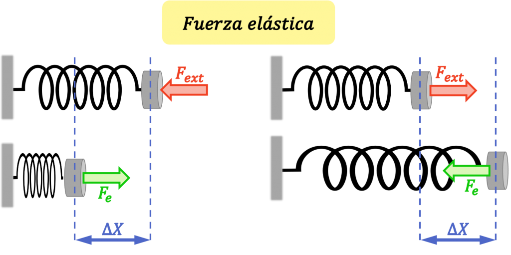 fuerza elastica de un muelle
