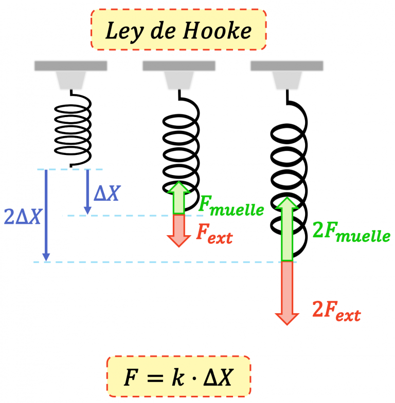 Ley de Hooke qué es, fórmula, ejercicios resueltos...
