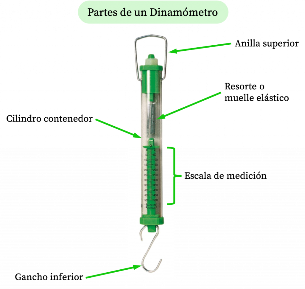 partes de un dinamómetro