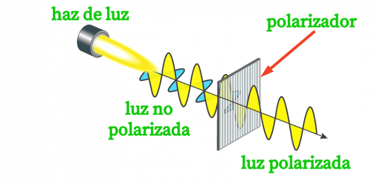 10 Ejemplos De Polarización De La Luz