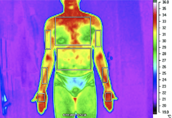 termograma del cuerpo humano
