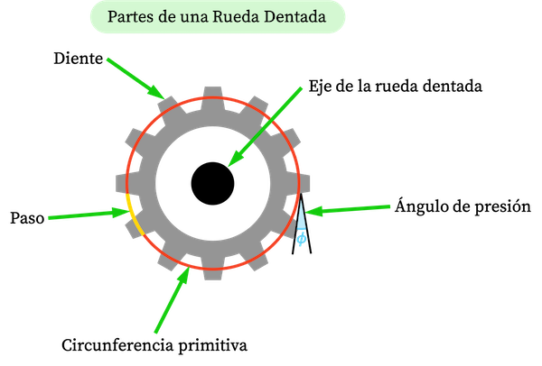 partes de una rueda dentada