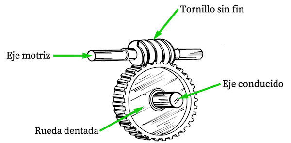 partes de un tornillo sin fin