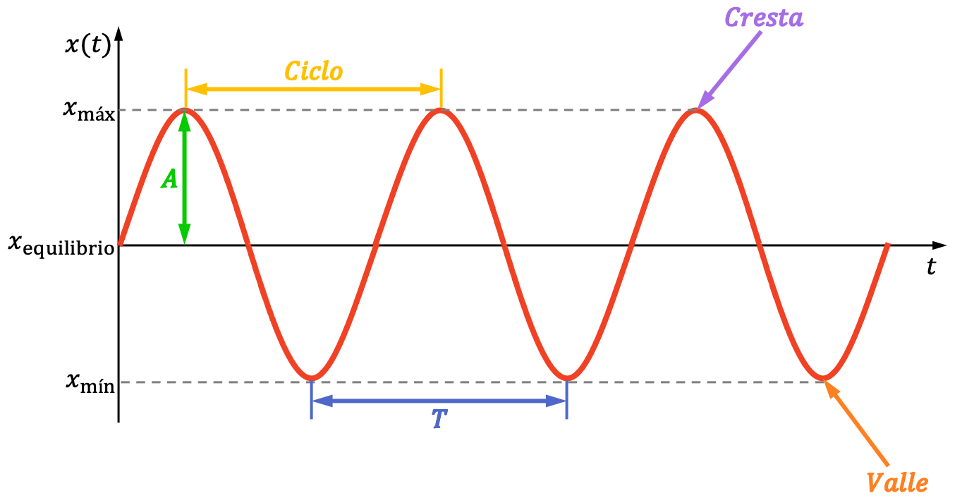 Ciclo De Una Onda 5827