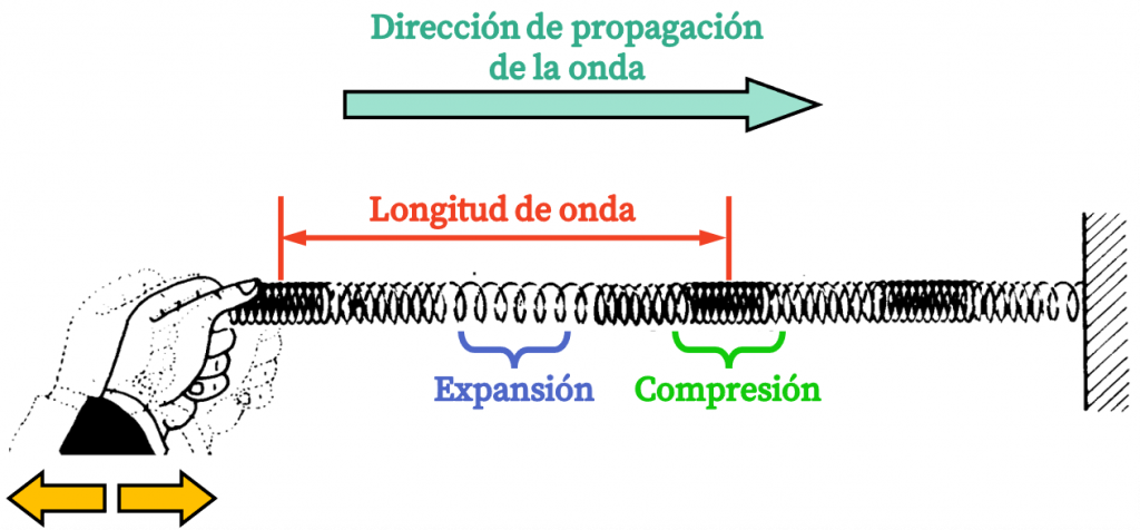 onda longitudinal