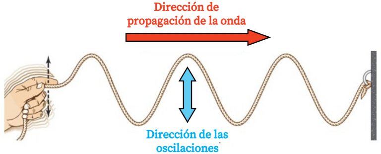 ¿Cuáles son los diferentes tipos de ondas?